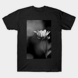 inner light T-Shirt